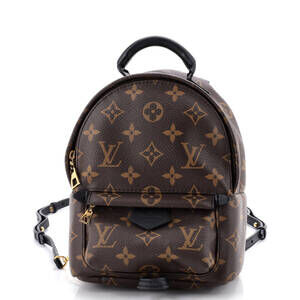 Louis Vuitton Palm Springs Backpack #240430L22B